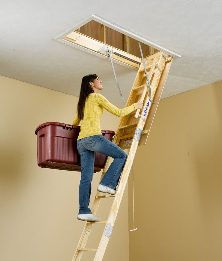 Attic Ladder Installation Support