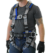 SwitchPoint Harness