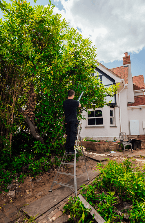 Werner Ladders - Adjustable Tripod Ladder