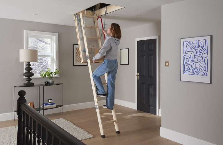 Werner Loft Ladders