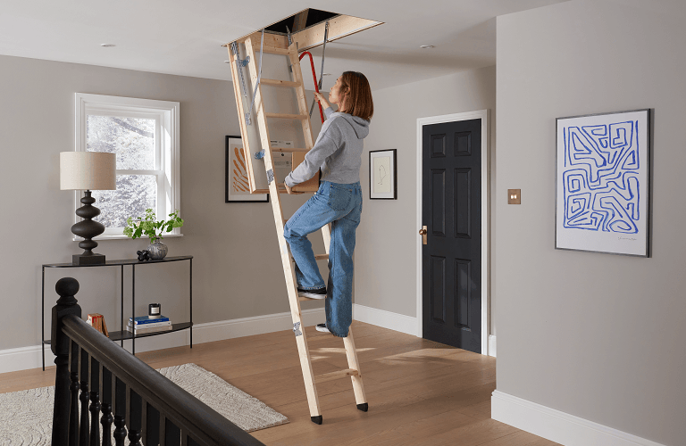 Werner Loft Ladders