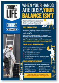 Werner Ladder Safety Guide - Carrying Tools
