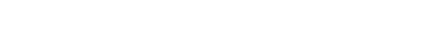WernerCo_Wordmark_Wht_-01